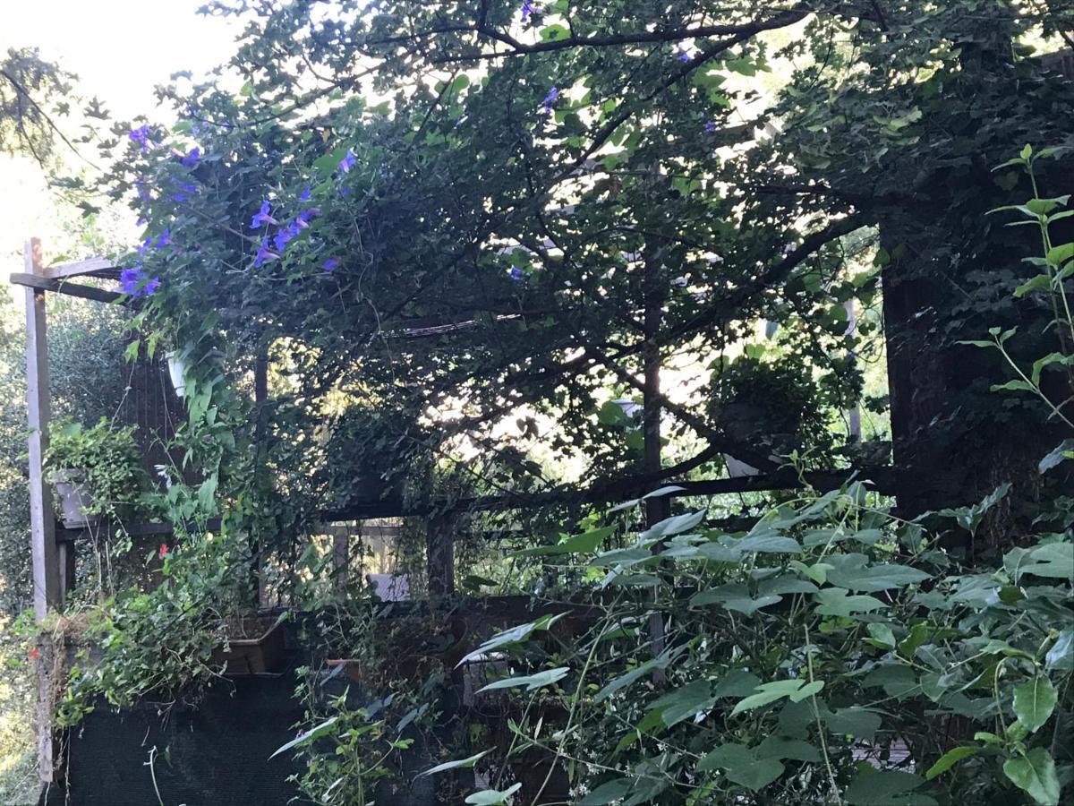 Chalet dans Résidence Privée La Gaude Esterno foto